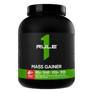 RULE ONE Rule 1 Mass Gainer 5200g - Čokoládový fondán obraz
