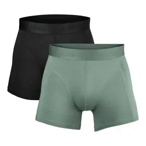 Salming 2-Pack Bamboo Boxer Black / Green - L obraz