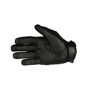 Salming Goalie Gloves E-Series Black/White - XS obraz