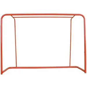 Sedco Florbalová branka Official 160*115cm - červená obraz