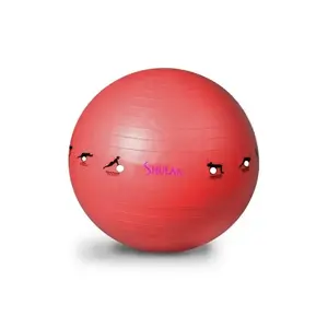 Sedco Gymnastický míč SHULAN YOGA BALL 65 cm - červená obraz