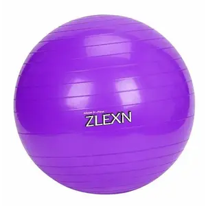 Sedco Gymnastický míč Yoga Ball 65 cm - Fialová obraz