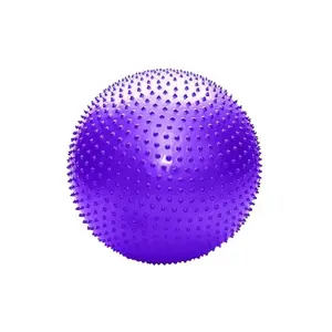 Sedco Gymnastický míč YOGA MASSAGE BALL 65 cm - fialová obraz