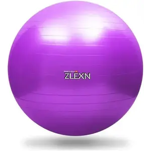 Sedco Gymnastický míč ZLEXN Yoga Ball 65 cm - fialová obraz
