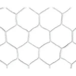 Sedco Síť kopaná PES HEXAGON 3x2 m - SET NA DVĚ BRANKY - bílá obraz