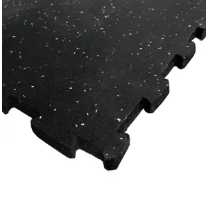 Sedco Zátěžová fitness EPDM podlaha 50x50x2, 0 cm - černá obraz