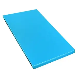 Sedco Žíněnka GYMNASTIC ZLX1010 200x100x10 cm - tuhá pěna - světle modrá obraz