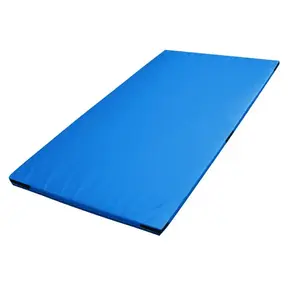 Sedco Žíněnka Standard 200x100x5 cm - modrá obraz