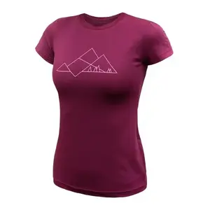 SENSOR Coolmax Tech Geo Mountains - L obraz