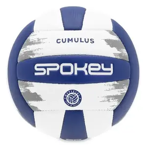 Spokey CUMULUS PRO Volejbalový míč, vel. 5 obraz