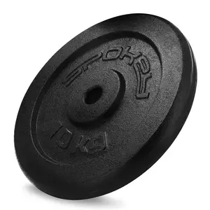Spokey SINIS Litinový kotouč, 29 mm, 10 kg obraz