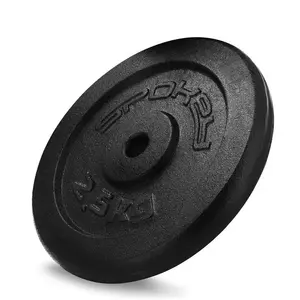 Spokey SINIS Litinový kotouč, 29 mm, 2, 5 kg obraz