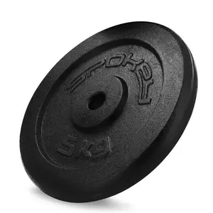 Spokey SINIS Litinový kotouč, 29 mm, 5 kg obraz
