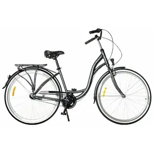 Storm Barcelona metalické grafitové 28" 3sp. 19" dámské městské kolo obraz