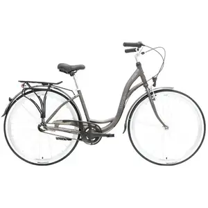 Storm Barcelona Urban Bronze 28" 3sp. 17" dámské městské kolo obraz