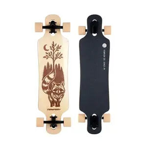 Tempish COON longboard obraz