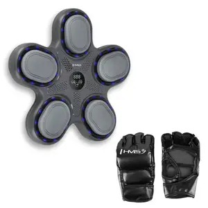 HMS Elektronický boxerský terč TB11 s LED, Bluetooth a rukavicemi (Music Boxing Machine) obraz