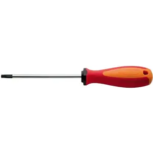 UNIOR šroubovák torx T25 x 100 obraz