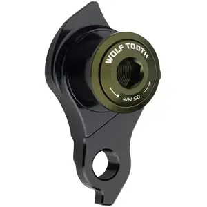 WOLF TOOTH Patka UDH Olive obraz