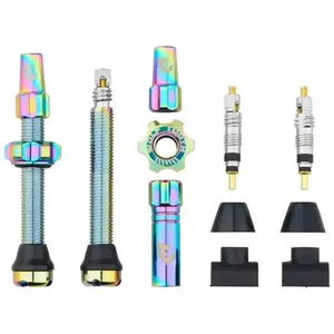 WOLF TOOTH Tubeless Valve Stem Kit obraz