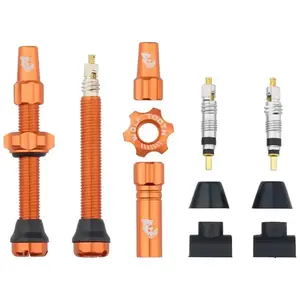 WOLF TOOTH Tubeless Valve Stem Kit obraz