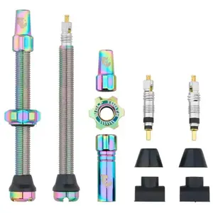 WOLF TOOTH Tubeless Valve Stem Kit obraz
