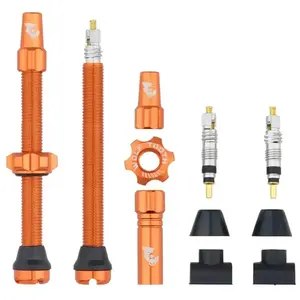 WOLF TOOTH Tubeless Valve Stem obraz