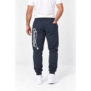 Tepláky Jogger, Barva Modrá, s Potiskem Signature Flow obraz