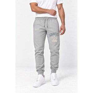 Tepláky Jogger, Barva Šedá, s Potiskem Worldwide Originals obraz