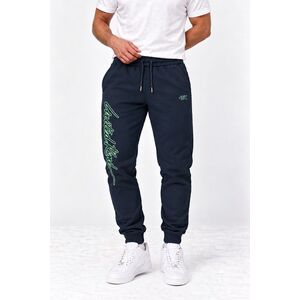 Tepláky Jogger, Barva Modrá, s Potiskem Forest Signature obraz
