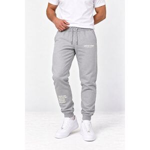Tepláky Jogger, Barva Šedá, s Potiskem Everyday Movement obraz
