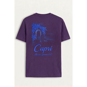 Tričko, Barva Fialová, s Potiskem Capri Blue Gate obraz