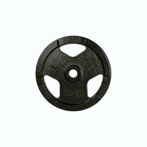 Litinový kotouč inSPORTline Hamerton Black 2, 5 kg 30 mm obraz