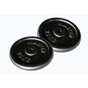 Kotouč MASTER 25 kg kov (pár) obraz