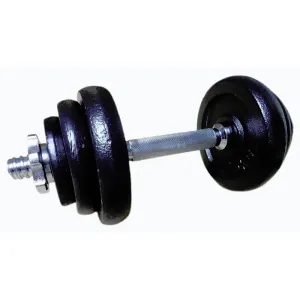ACRA nakládací činka jednoruční set 2 x 10 kg (20 kg) pogumované obraz