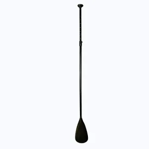 Agama Pádlo CLASSIC BLACK obraz