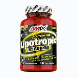 Amix Nutrition Lipotropic Fat Burner 100 kapslí obraz