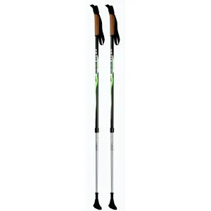 Artis nordic walking hole obraz