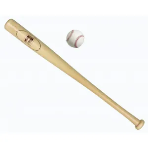 Baseball pálka s míčkem obraz