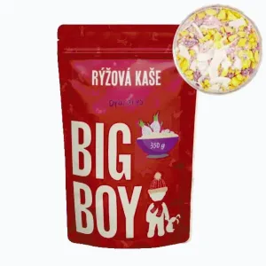 Big Boy Rýžová kaše Dracarys 305g obraz