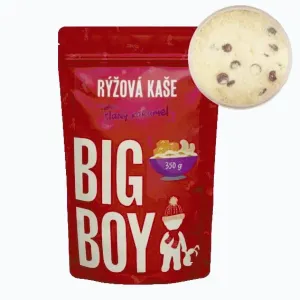 Big Boy Rýžová kaše Sweet and Salty 350g - Slaný karamel obraz