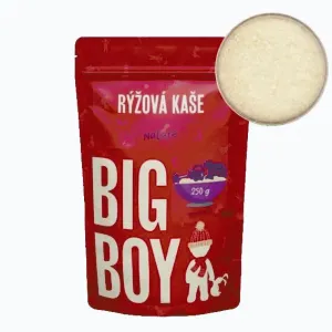 Big Boy Rýžová proteinová kaše 250g obraz