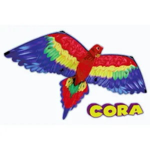 CORA 3D drak 144x80 cm obraz