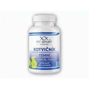 FitSport Nutrition Kotvičník zemní 90% + Vitamin B6 + Zinek 90 kapslí obraz