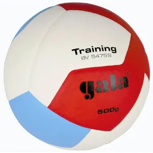 Gala 5475 S Training 500 g obraz
