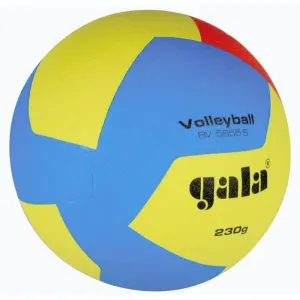 Gala 5655 S Training 230 g obraz