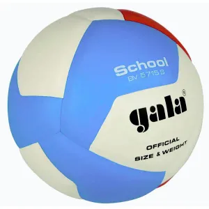 Gala BV 5715 S School obraz