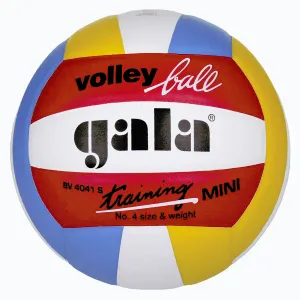 Gala BV4041S Training Mini volejbalový míč - č. 4 obraz