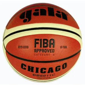 Gala Chicago 6011 C basketbalový míč obraz