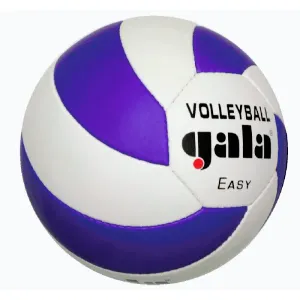 Gala Easy 5083S volejbalový míč obraz